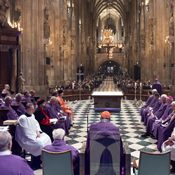 Erzdiözese Wien/ Schönlaub, Stephan Schönlaub