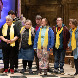 WDST 2024 im Stephansdom / Erzdiözese Wien/Schönlaub