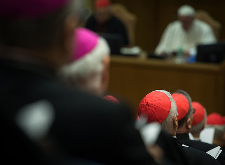 Deutschsprachige Synodalväter veröffentlichen Erklärung