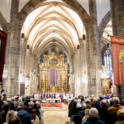 Bischofsprimizmesse Perchtholdsdorf / Erzdiözese Wien/Schönlaub