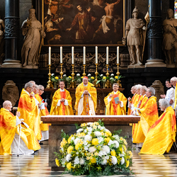 Priesterjubiläen / Erzdiözese Wien/Schönlaub