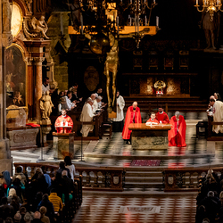 2025 Karfreitag / Erzdiözese Wien/Schönlaub